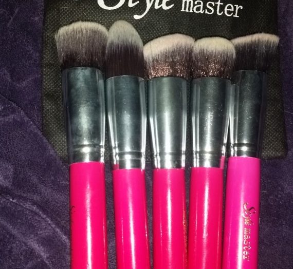 Ebay 10 Piece Kabuki Brush Set