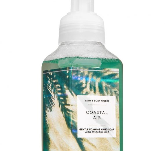 Gentle Foaming Hand Soap – Coastal Air