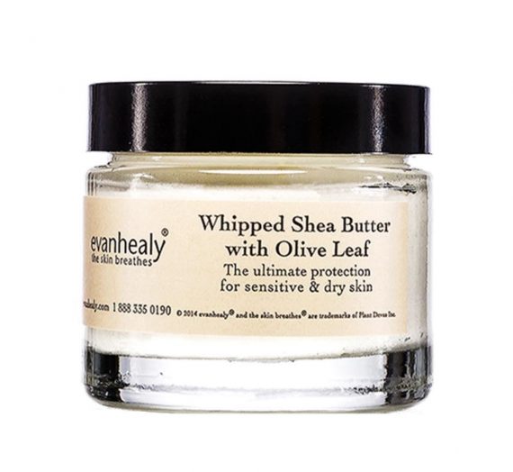 Whipped Shea Butter with Olive Leaf