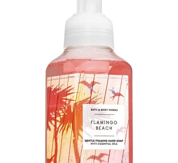 Foaming Hand Soap – Flamingo Beach