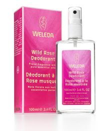 Wild Rose Deodorant