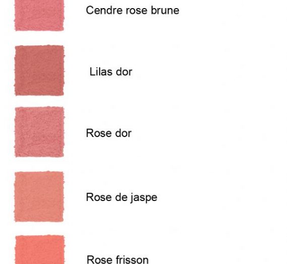 Little Round Pot Blusher – Rose Frisson