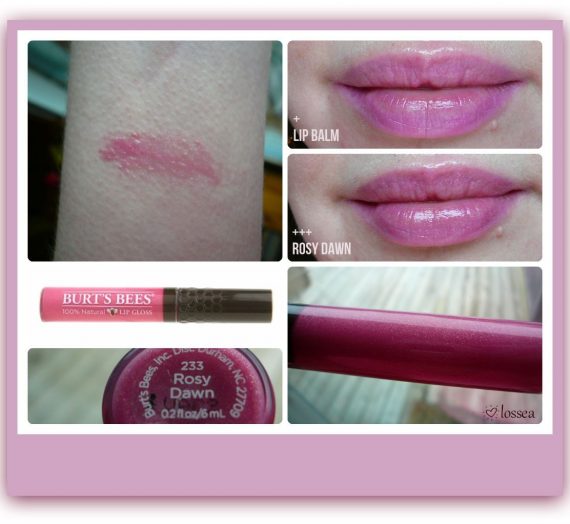 100% Natural Lip Gloss (All Colors)