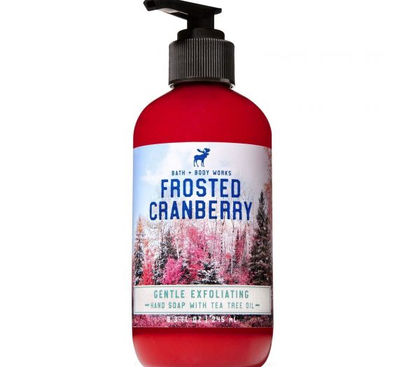 Exfoliating Hand Soap – Frosted Cranberry