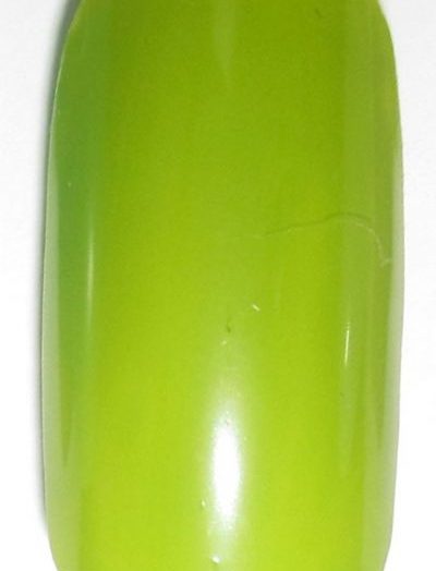 Insta-Dri Fast Dry Nail Color – Lickety Split Lime