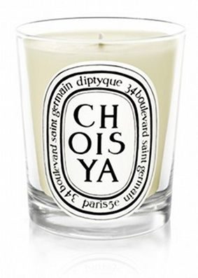 Choisya candle