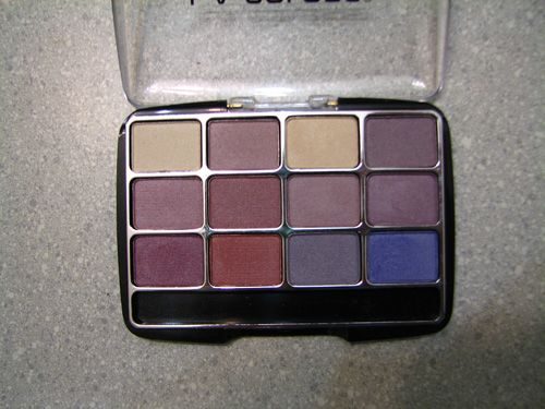 12 Color Eyeshadow Palette in Chic