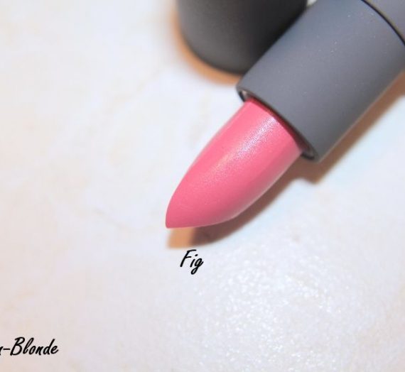 Amuse Bouche Lipstick – Fig