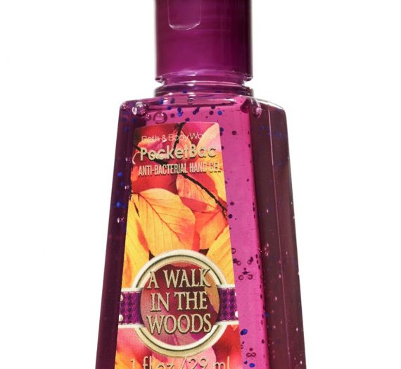 A Walk In the Woods  PocketBac