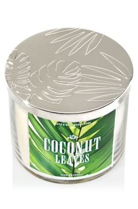 Coconut Leaves
