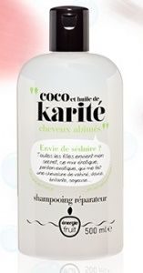 Energie Fruit/ Coco Shea Repairing Shampoo